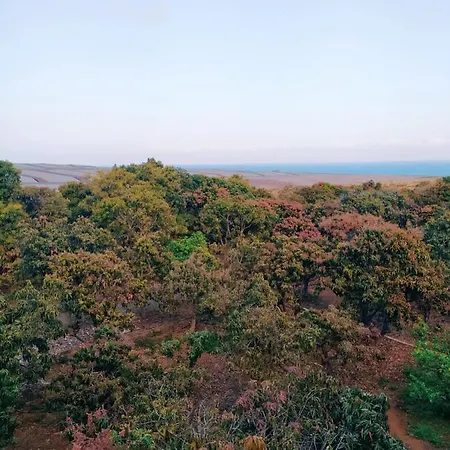 Hacienda La Extremena * 기마르