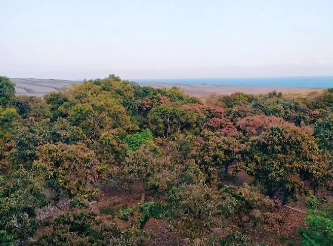 Hacienda La Extremena * Гуимар